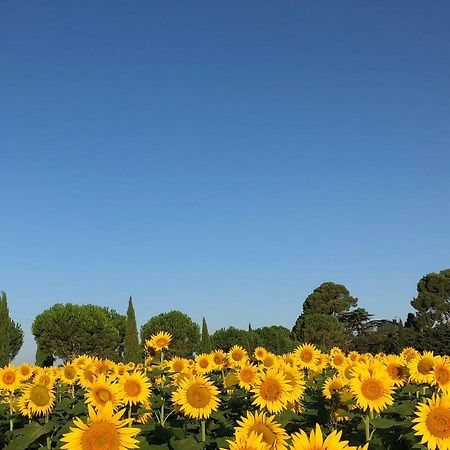 Domaine De La Forcate Appartement Villesiscle Buitenkant foto