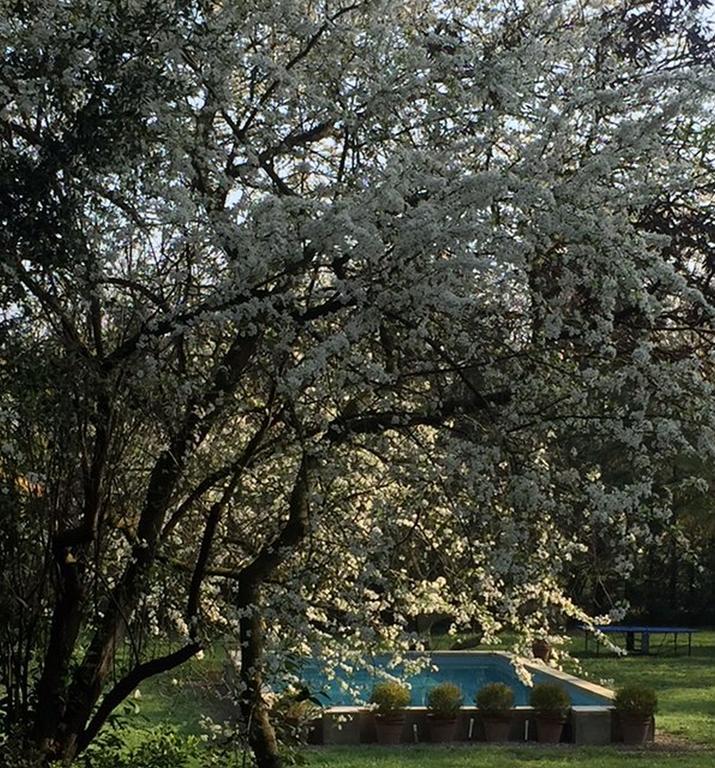 Domaine De La Forcate Appartement Villesiscle Buitenkant foto
