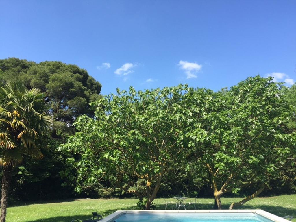 Domaine De La Forcate Appartement Villesiscle Buitenkant foto