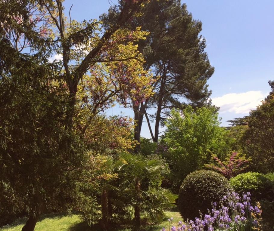 Domaine De La Forcate Appartement Villesiscle Buitenkant foto
