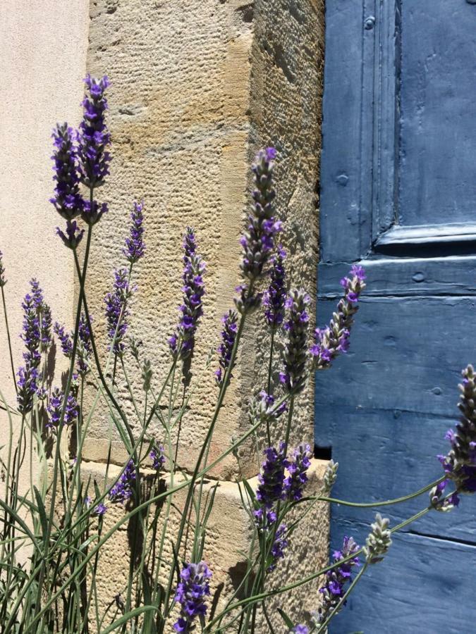 Domaine De La Forcate Appartement Villesiscle Buitenkant foto