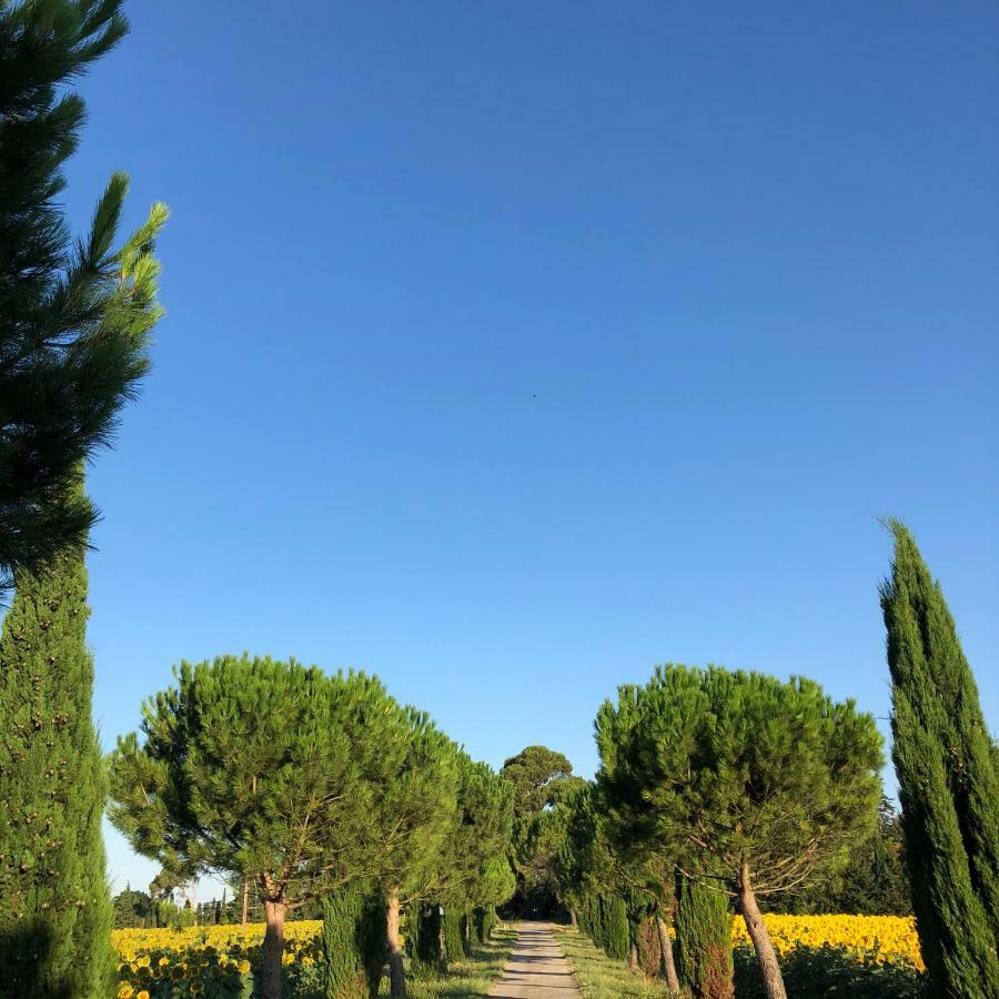 Domaine De La Forcate Appartement Villesiscle Buitenkant foto